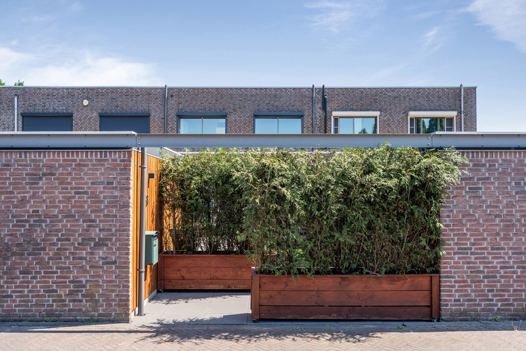 27. Leo Fallplantsoen 43, Utrecht.jpg